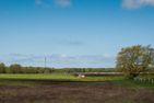  Boddensegler Wieck auf dem Darß - Landschaft