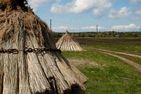  Boddensegler Wieck auf dem Darß - Landschaft