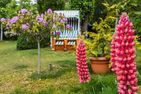  Ankerherz Ostseebad Wustrow - Garten