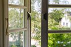  Hus Barkenboom Wieck auf dem Darß - Dekoratives Detail