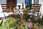  Hus Barkenboom Wieck auf dem Darß - Terrasse