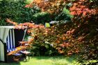  Binnendieck Ostseebad Ahrenshoop - Garten