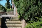  Binnendieck Ostseebad Ahrenshoop - Garten