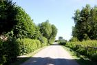  Haus zu den Büschen 04 Ostseebad Wustrow - Landschaft