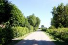 Haus zu den Büschen 03 Ostseebad Wustrow - Landschaft