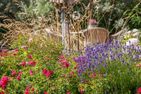  Traumzeit Ostseebad Ahrenshoop - Garten