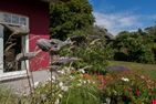  Traumzeit Ostseebad Ahrenshoop - Garten