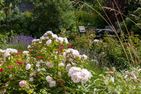  Traumzeit Ostseebad Ahrenshoop - Garten
