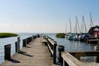  Haus Seeschwalbe Ostseebad Ahrenshoop - Landschaft