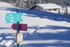  Tgampi saura (395 Rü) Whg Arblatsch Lantsch/Lenz - 