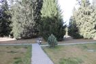  Seegarten B (168 Be) Lenzerheide - 
