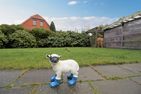  Ostfreesenhuus Vier Pfoten Marienhafe - 