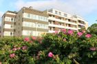  Freya Westerland - 