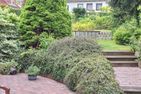 Haus am Ahornweg 6 Haus am Ahornweg 6 Appartement Stressless Scharbeutz - Garten