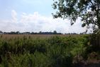  Ferienhaus Weitblick Ostfriesland - Landschaft