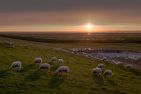  Ferienhaus Weitblick Ostfriesland - Strand