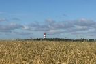  Ferienwohnung *Fenja* Norddorf auf Amrum - Landschaft