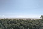 Haus Kap Hoorn Ferienwohnung Seeblick Wittdün auf Amrum - Meerblick
