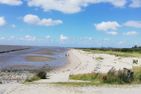  Ferienhaus Carpe Diem Ostfriesland - Landschaft