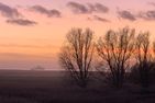  Ferienhaus Carpe Diem Ostfriesland - Landschaft
