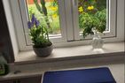  Romeo Feliz - Exklusive Ferienwohnung in Bahía Feliz mit Großem Garten San Bartolomé de Tirajana - Gartenblick