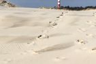  Ferienwohnung *Meeresleuchten* Wittdün auf Amrum - Sandstrand mit Blick auf den Leuchtturm von Amrum