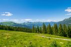  Gasteinerhütte im Zirbenwald | Bad Gastein | Salzburg Hohe Tauern - Landschaft