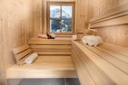  Hagan Lodge Luxury | Salzkammergut | Steiermark Salzkammergut - Sauna