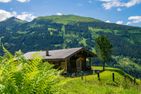 Schachenhütte | Bad Gastein | Nationalpark Hohe Tauern Hohe Tauern - Hauptansicht