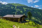 Schachenhütte | Bad Gastein | Nationalpark Hohe Tauern Hohe Tauern - Hauptansicht