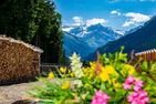 Schachenhütte | Bad Gastein | Nationalpark Hohe Tauern Hohe Tauern - Landschaft