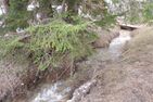  Gloria C4 (276 Rc) Lenzerheide - 