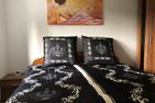 Ferienhaus Black Beauty Wernigerode - 