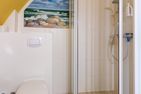 Muschel Ahrenshoop Muschel 4 Ostseebad Ahrenshoop - 