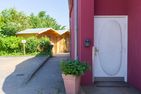 Muschel Ahrenshoop Muschel 4 Ostseebad Ahrenshoop - 