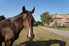  Haus Inselurlaub Hausteil 1 Oevenum - 
