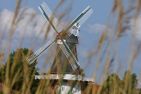  Meerzeit Greetsiel/Krummhörn - Landschaft