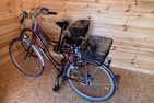  Waikiki Norden/Norddeich - Sport / Aktivitäten