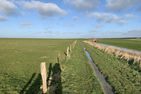  Waikiki Norden/Norddeich - Landschaft