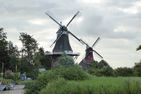  Riedhaus am Siel Greetsiel/Krummhörn - 