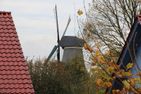  Mühlengruß Greetsiel/Krummhörn - Blick auf Sehenswürdigkeit