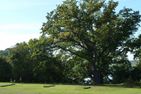  MaiStern Sternberg/Warin - Gartenblick