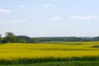  MaiStern Sternberg/Warin - Landschaft