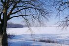  MaiStern Sternberg/Warin - Landschaft