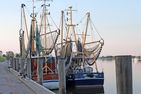  Carpe Diem Greetsiel/Krummhörn - 