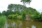  Mittsommer Greetsiel/Krummhörn - Landschaft