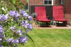  An den Zwillingsmühlen Greetsiel/Krummhörn - Garten