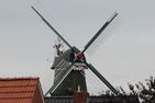  Pusteblume Greetsiel/Krummhörn - Blick auf Sehenswürdigkeit