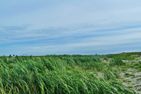  Friesenperle Greetsiel/Krummhörn - Landschaft