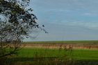  Deichbrise Greetsiel/Krummhörn - Landschaft